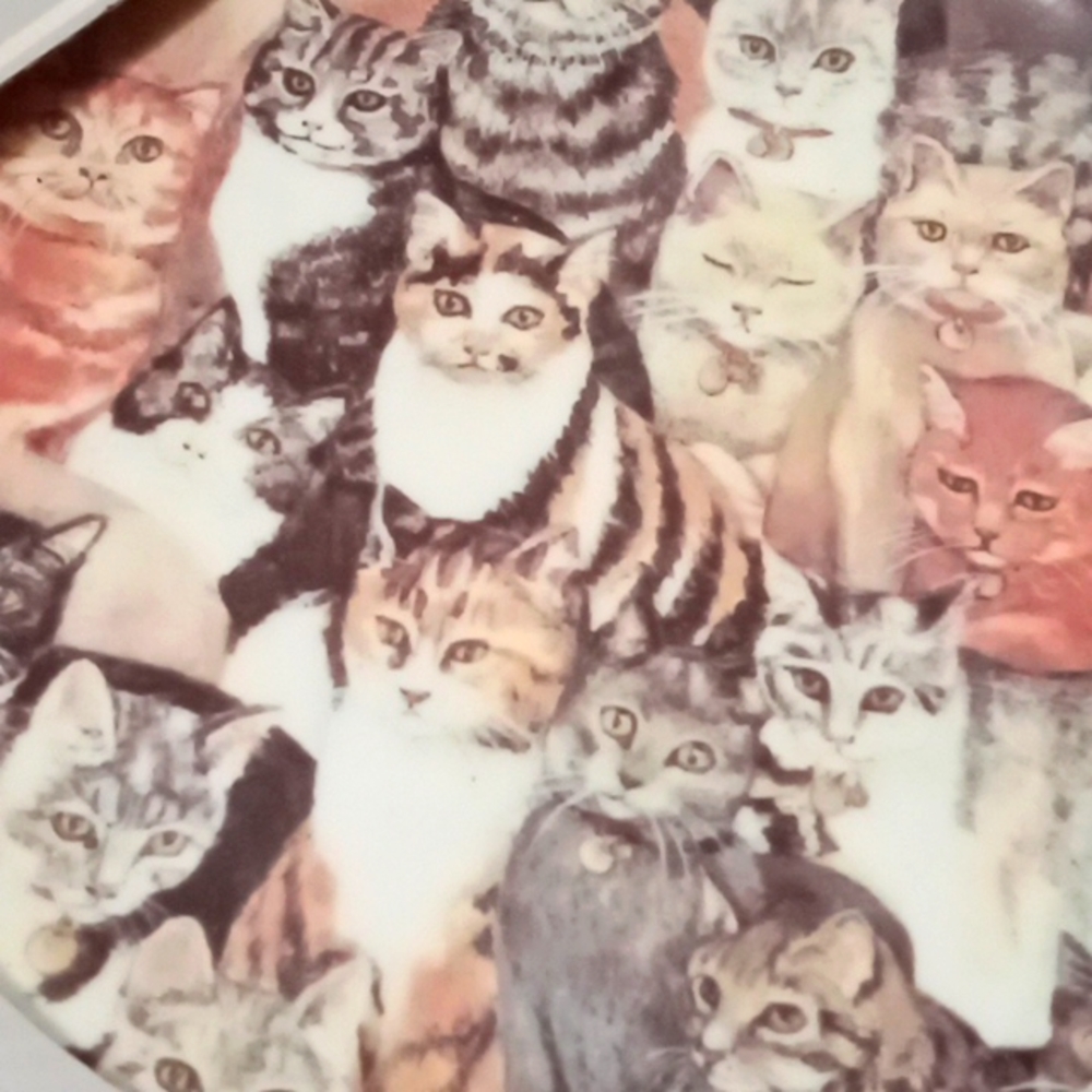 Royal Vale Decorative Cat Plate in Box